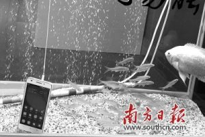 新型电子纳米防水喷镀设备引领电子产品防护