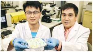 技术前沿：香港大学研制出防水防油物料，未来可能不用在洗衣服