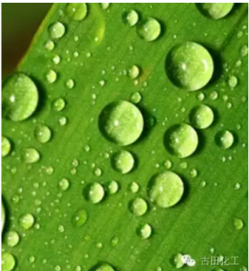 含氟防水剂质料专题含氟化合物，先辈照旧毒药？