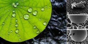 真正的滴水不沾，科学家开发出防水新材料