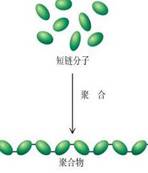 技术前沿：最新纳米聚合物pvd技术的应用研究
