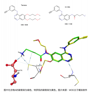 与什么是去溶剂化？与疏水效应有什么关联
