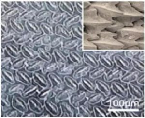 中科院宁波材料所在海洋航体表面超疏水减阻涂层及应用关键技术方面取得进展