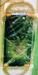 [派瑞林日记]Are Parylene Noodles a Defect