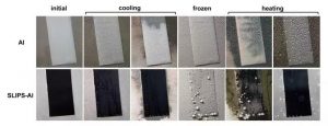 科学家揭开猪笼草“油嘴滑虫”机制，开辟超滑防冰表面